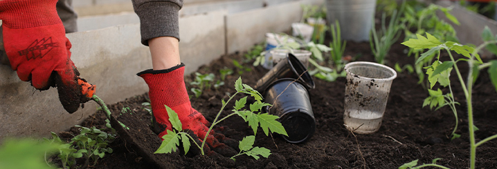 Sementie Boutique -Sementie Boutique